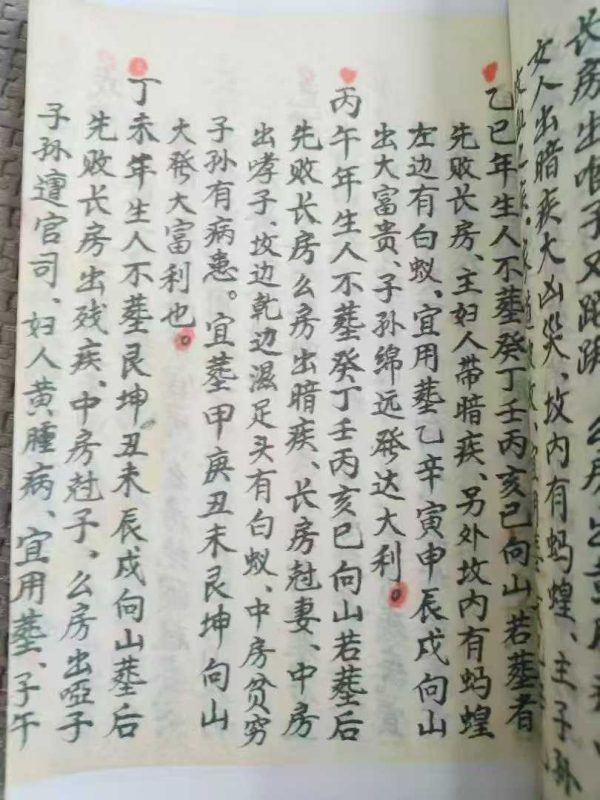 《造葬秘法》 - 图片 2