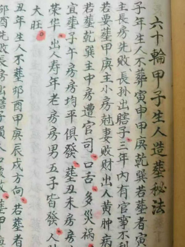 《造葬秘法》 - 图片 5