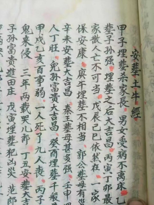 《造葬秘法》 - 图片 3