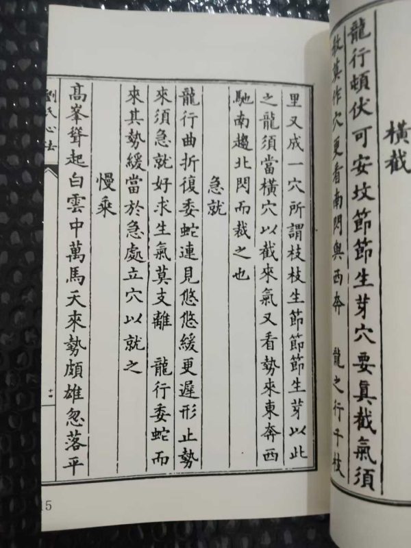 《刘氏心法》 - 图片 3