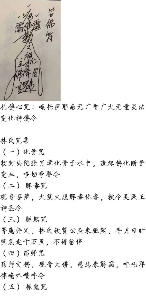 《林氏普庵》 - 图片 4