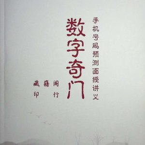 《数字奇门》