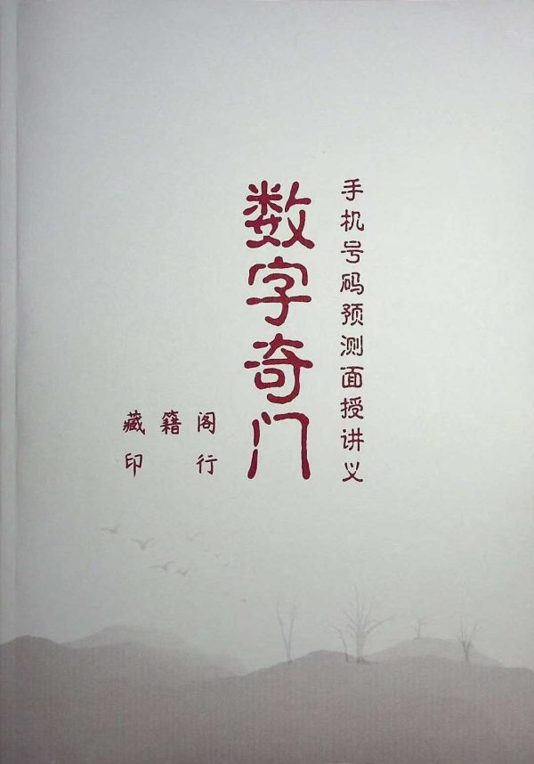 《数字奇门》