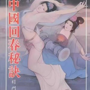 《中国回春秘诀 》