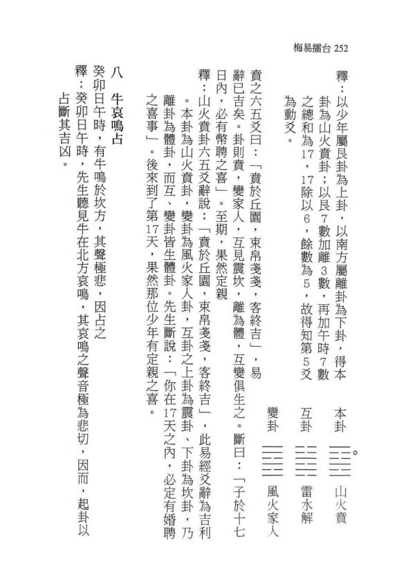 《梅易擂台》 - 图片 3