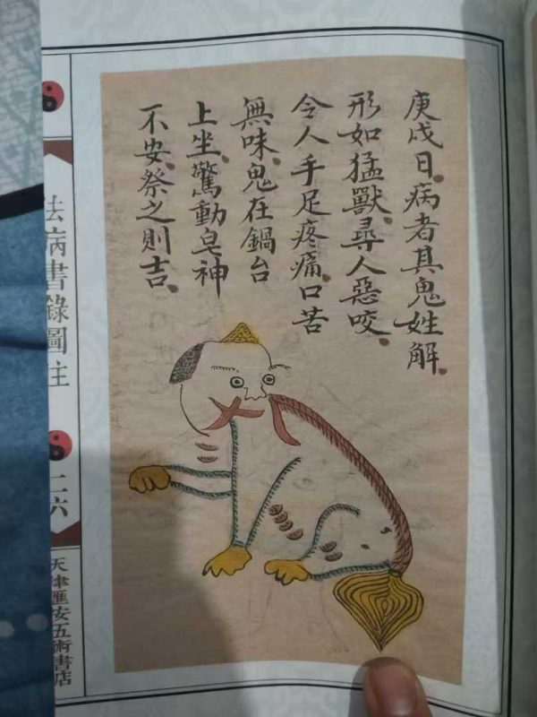 《法病书禄图解》 - 图片 3