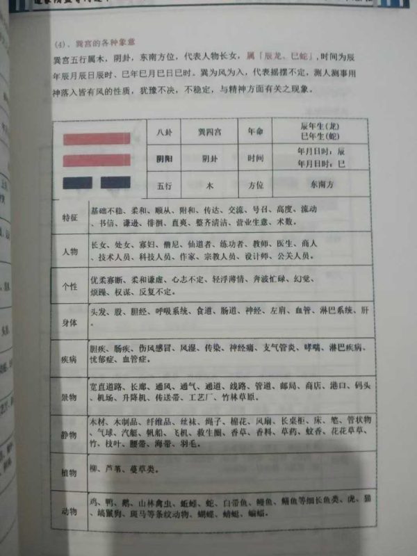 《阴盘奇门遁甲》 - 图片 5