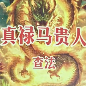 《真禄马贵人查法》